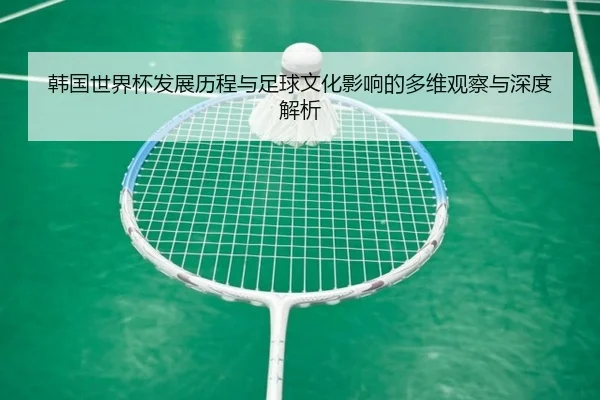 韩国世界杯发展历程与足球文化影响的多维观察与深度解析