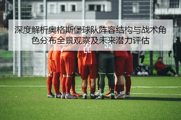 深度解析奥格斯堡球队阵容结构与战术角色分布全景观察及未来潜力评估