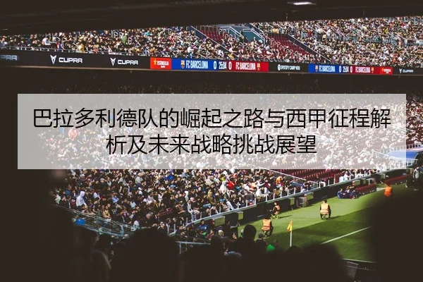 巴拉多利德队的崛起之路与西甲征程解析及未来战略挑战展望